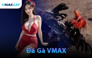Đá Gà VMAX