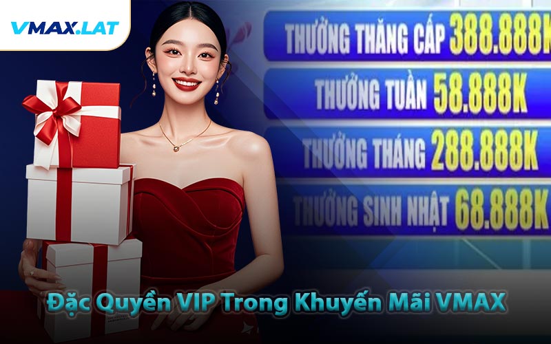 Đặc Quyền VIP Trong Khuyến Mãi VMAX