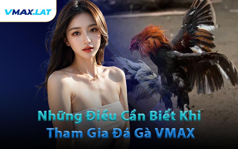 Những Điều Cần Biết Khi Tham Gia Đá Gà VMAX