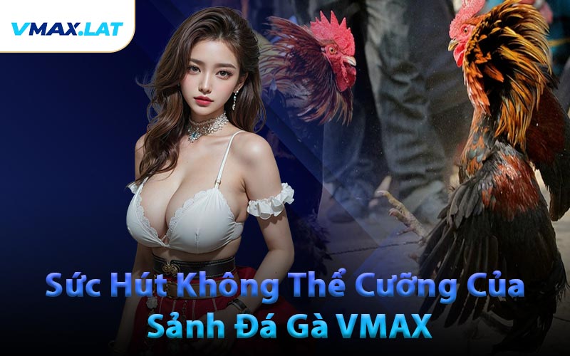 Sức Hút Không Thể Cưỡng Của Sảnh Đá Gà VMAX